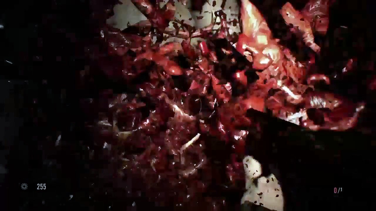 Resident Evil 7 Biohazard: DLC