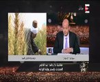 اتهامات بين الزراعة والرى بشأن تجربة زراعة القمح بمصر مرتين فى العام