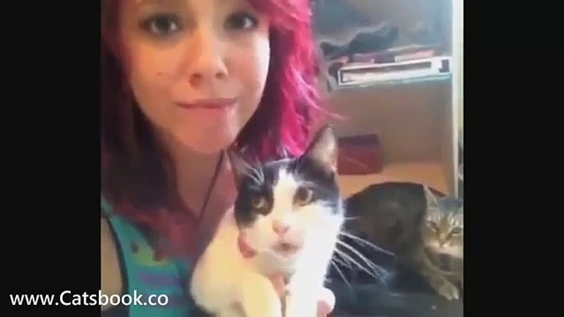 ⁣Котэ и кошки самые прикольные животные