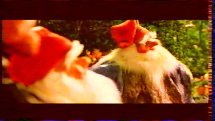 cognitivisme appliqué aux nains de jardin en milieu ordinaire (1999)