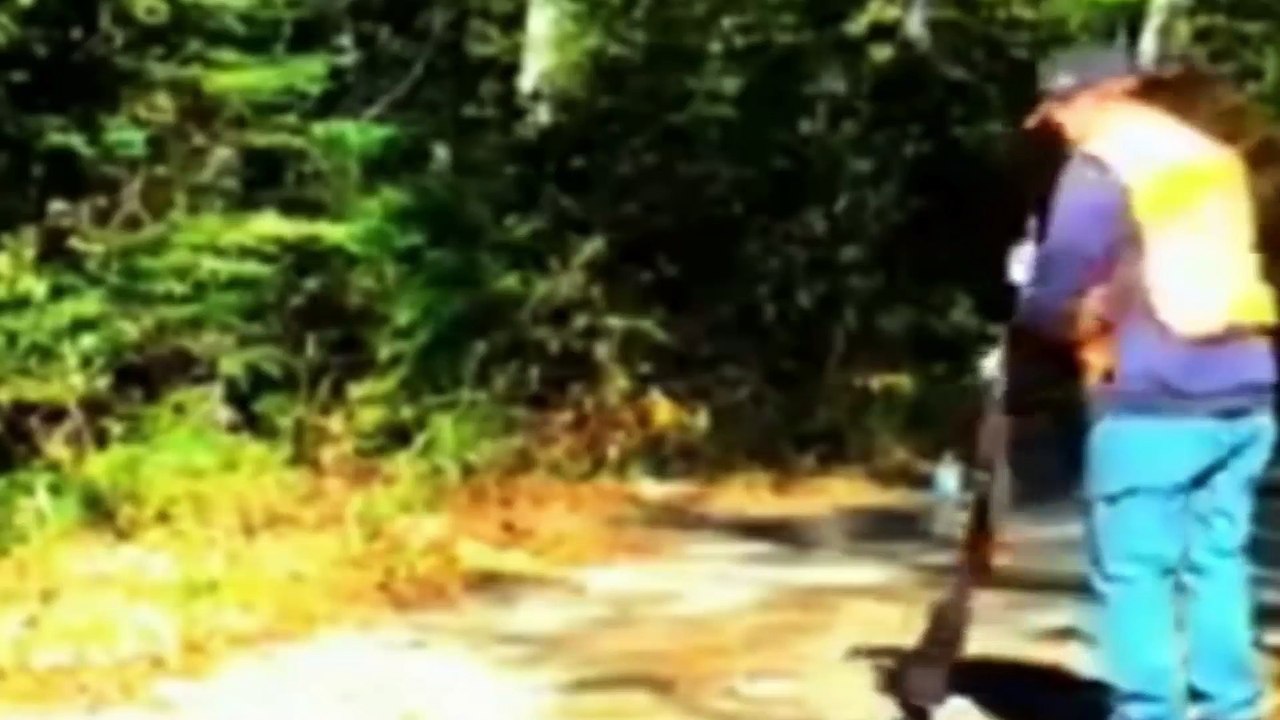 Funny Videos ★ Best Funny GUN Fail Compilation 2016 ★ New Funny Videos 2016