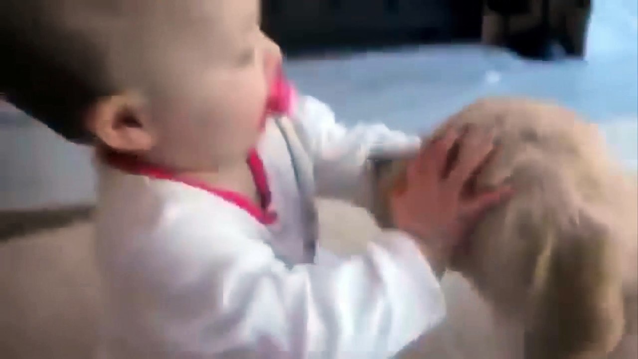 Labrador Puppy Meets Baby For The Very First Time