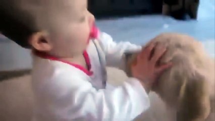 Labrador Puppy Meets Baby For The Very First Time