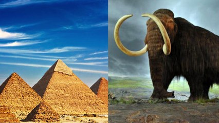 Datos curiosos sobre el mundo que te harán mucho más sabio