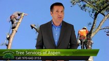 Aspen Removing a Tree – Tree Services of Aspen Terrific 5 Star Review