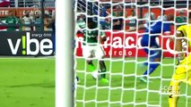 GABRIEL JESUS - Goals, Skills, Assists - Palmeiras - 2016 (HD)