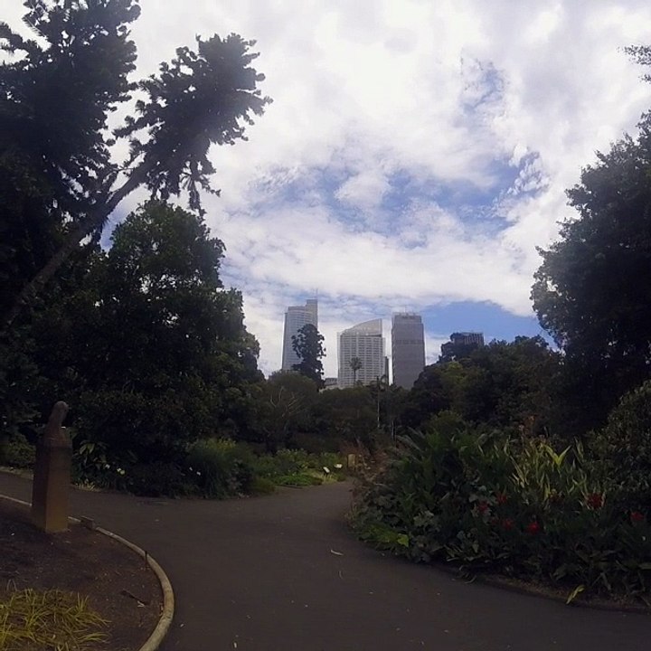 Découverte de Sydney
