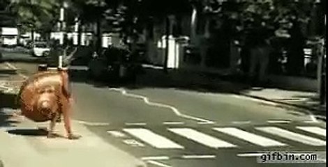 ДЕЙСТВУЙ ПО СВОЕМУ