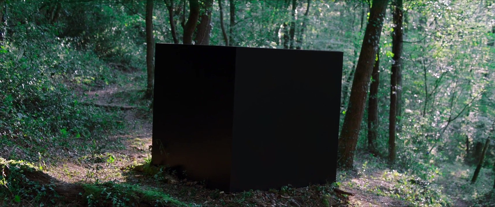 Black Hollow Cage