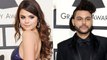 Selena Gomez and  The Weeknd Making Official Couple Debut At Grammys