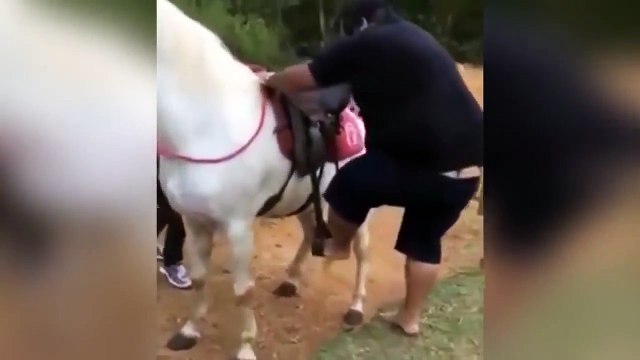 Толстый мужик и лошадь! словно три тонны в копейку запихнуть Смех до слез!