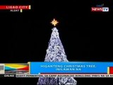 Higanteng Christmas tree sa Ligao City, Albay, inilawan na