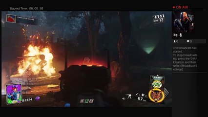 Call of duty infinte warfare zombies redwoods (133)