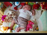 Lullaby for Babies to go to Sleep - Music for Babies - Baby Health Sleep Lullaby