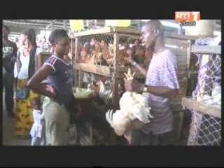 Prix des volailles en temps de fête