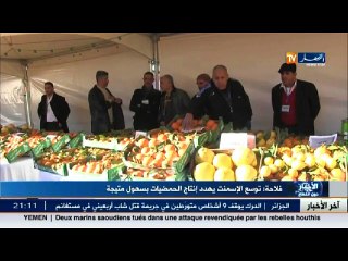 فلاحة  توسع الإسمنت يهدد إنتاج الحمضيات بسهول متيجة