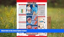 PDF  Stroke Explained DISEASES EXPLAINED For Ipad