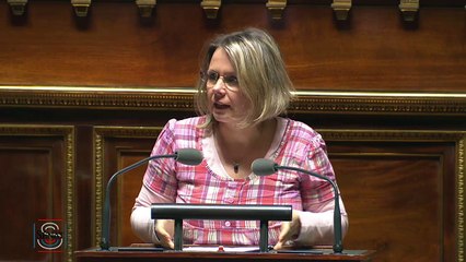 Intervention de C. Cukierman sur le projet de loi efficacité de la justice pénale