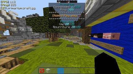 Excuse et présentation du serveur