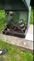 Des serpents cachés dans un boitier électrique ! Merci EDF
