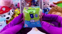Secret Life of Pets Paw Patrol Play the Claw Machine Game for Blind Box Toy Surprises