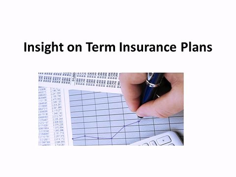 Insight on Term Insurance Plans