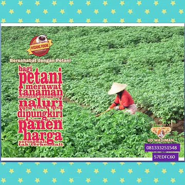 CallWA +6281-3332-5154-8 (telkomsel) Tempat Wedang Ronde Di Bandung, Tempat Jual Wedang Uwuh Di Jogja, Jual Wedang Uwuh Semarang,