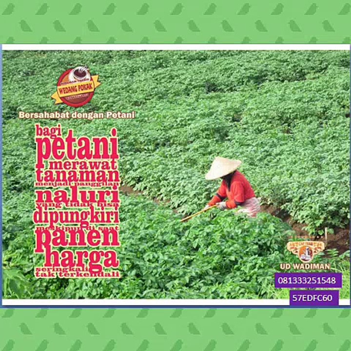 CallWA +6281-3332-5154-8 (telkomsel)  Waralaba Wedang Jahe, Waralaba Wedang Ronde, Produsen Wedang Uwuh Imogiri,