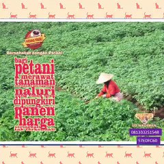 CallWA +6281-3332-5154-8 (T-Sel)  Harga Wedang Secang, Harga Wedang Saraba, Harga Wedang Jahe Sachet,