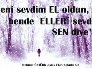 Biri Gitmek mi İstedi -Islak Ekin Kokulu Kız - Mehmet ÖNTÜRK ARZUHALCİ