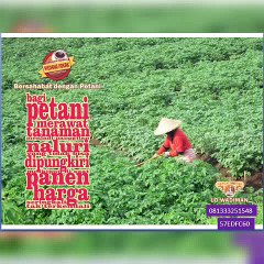 CallWA +6281-3332-5154-8 (T-Sel)  Jual Wedang Uwuh Murah, Jual Wedang Uwuh Instan, Jual Wedang Uwuh Instan,