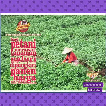 CallWA +6281-3332-5154-8 (T-Sel) Waralaba Wedang Ronde, Produsen Wedang Uwuh Imogiri, Tempat Wedang Ronde Di Bandung,