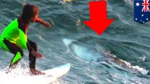 仰天！サメが、サーフィンをする10歳少年の足元近くに出現？　豪