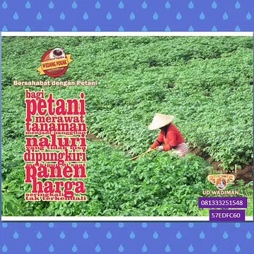 CallWA +6281-3332-5154-8 (T-Sel) Tempat Jual Wedang Uwuh Di Jogja, Jual Wedang Uwuh Semarang, Jual Wedang Uwuh Online,