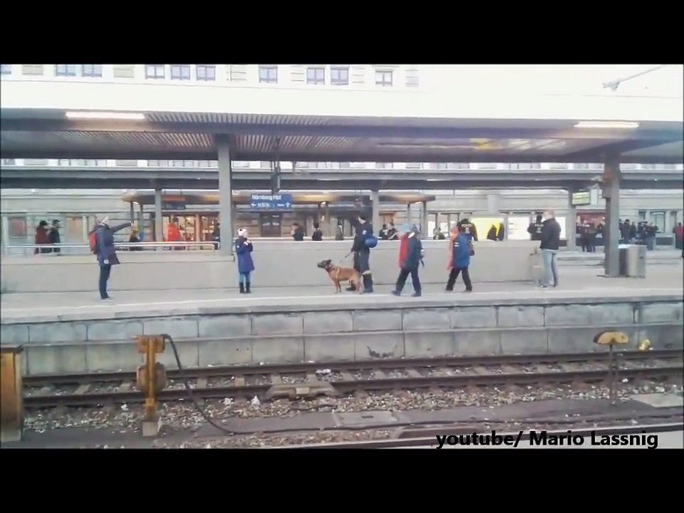 Un chien policier fait chuter une mamie sur la voie ferrée