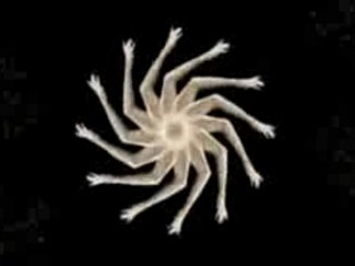 Goldfrapp - Strict Machine