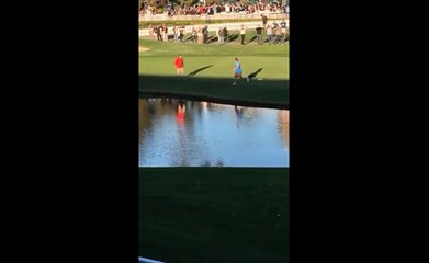 Un spectateur vient perturber des golfeurs et fini à l'eau.
