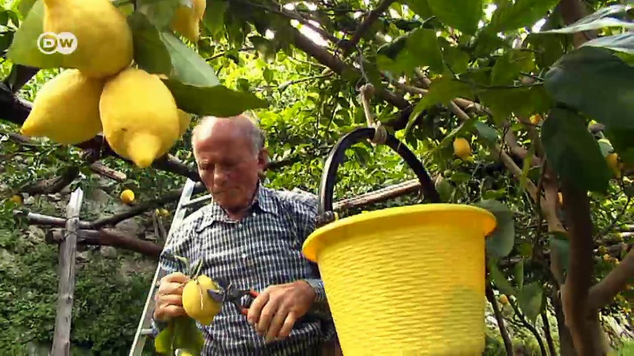 Europa first – Der Trump-Faktor | Made in Germany