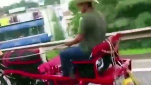 подборка лучших приколов