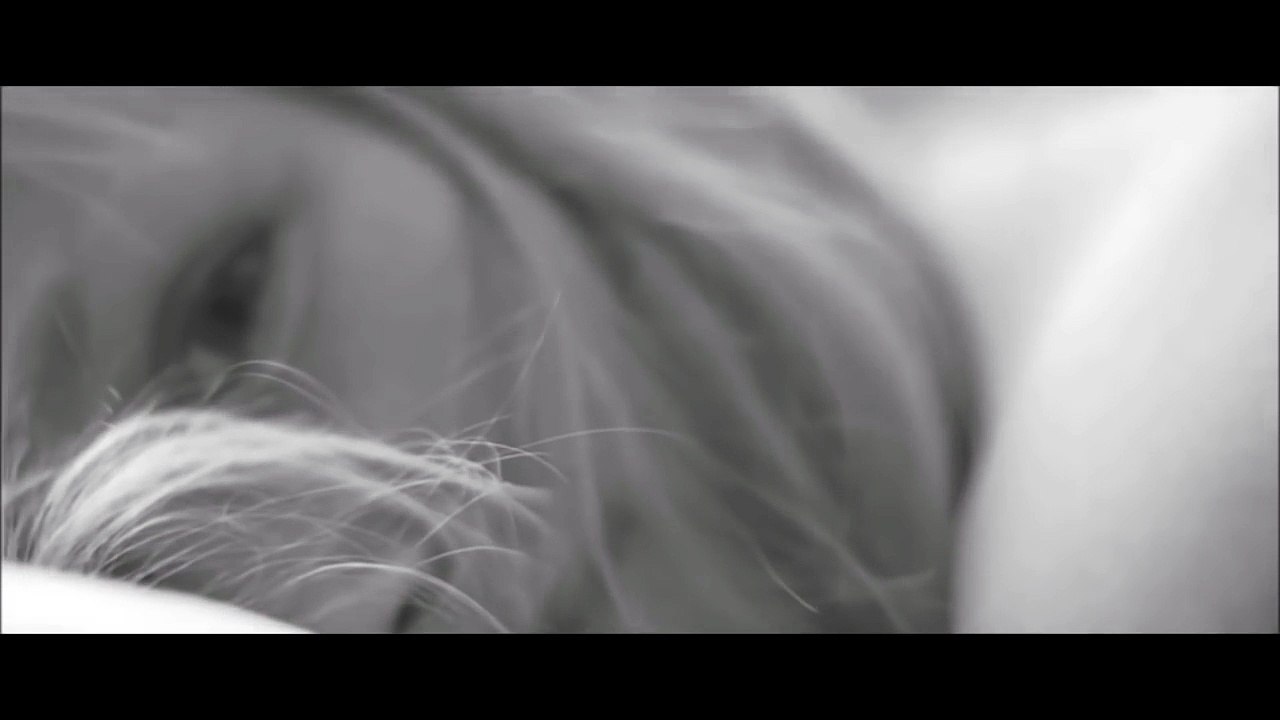 silence-alex pushkarev