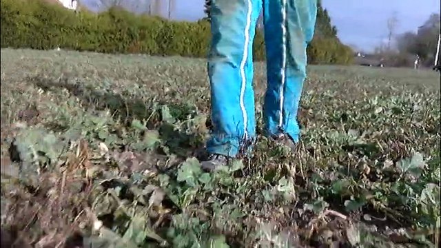 ECONOMIE/ Terres agricoles: la Touraine menacée par la spéculation?