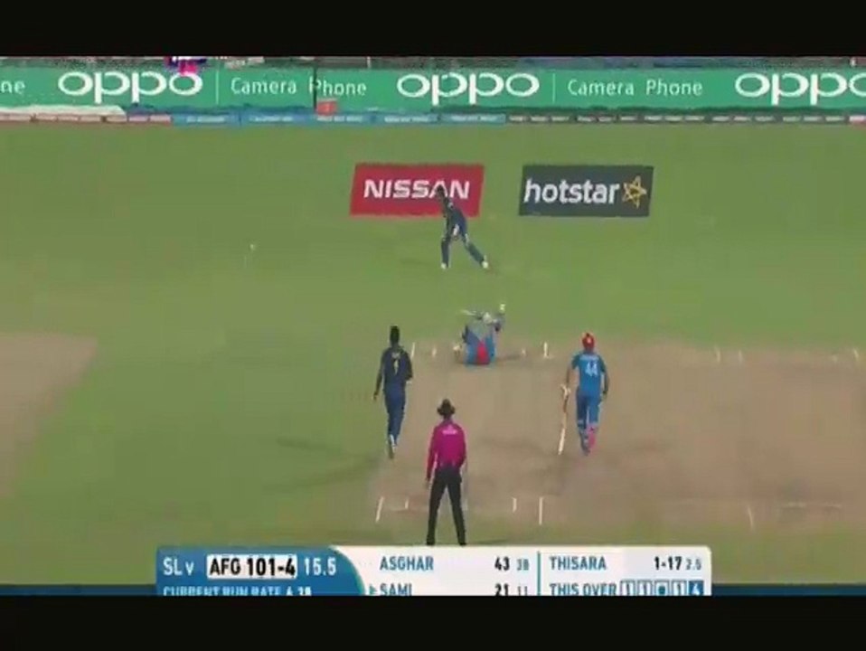 Hilarious cricketing shot