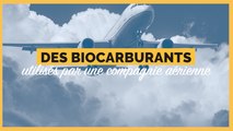 Une compagnie aérienne va utiliser des biocarburants pour faire voler ses avions
