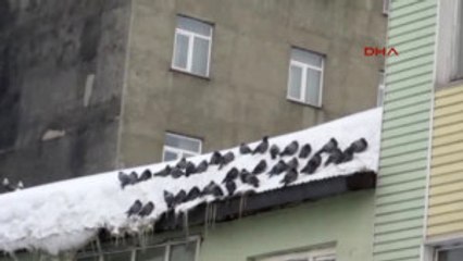 Ağrı Doğu'da Kar Çilesi