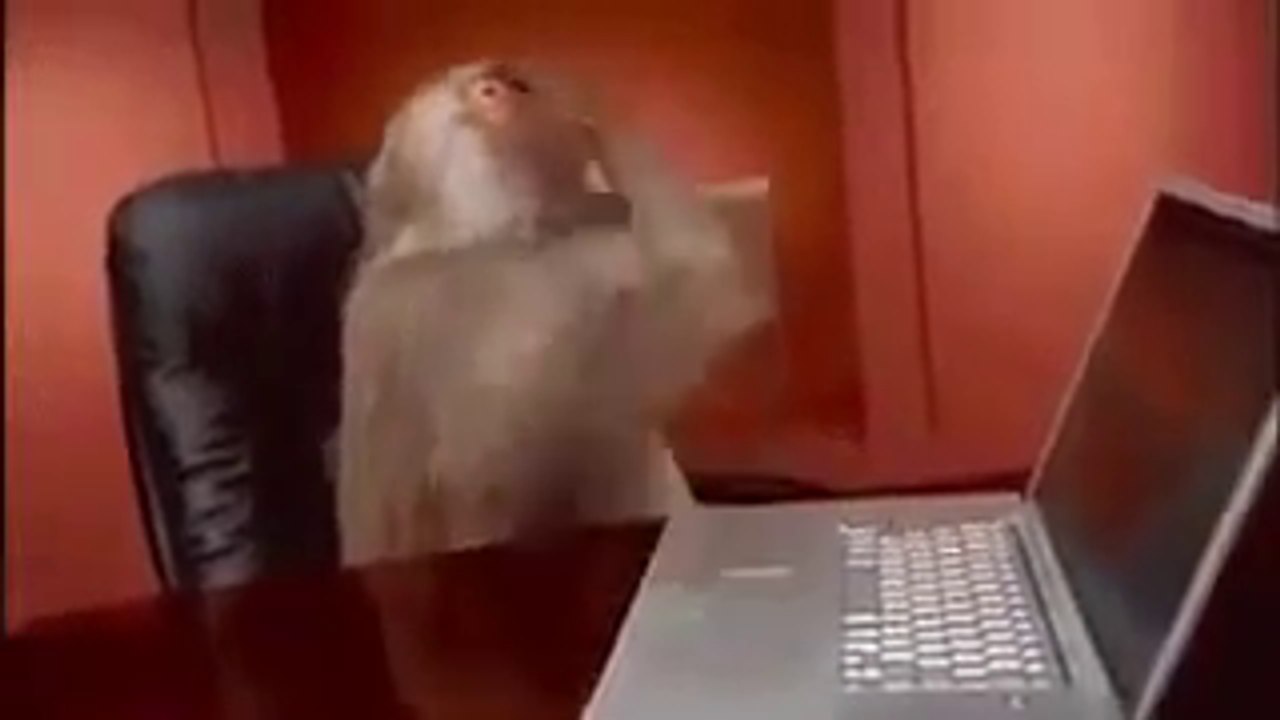 vide)22.mp4