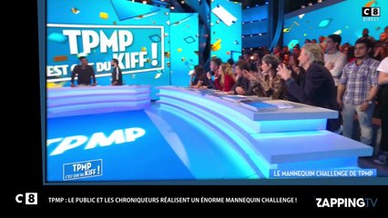 TPMP : Le mannequin challenge des chroniqueurs avec Black M en direct (Vidéo)