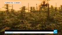 Florence: Welcome to Italy's military cannabis lab!