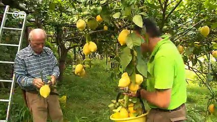 أوروبا أولا -  على خطى ترامب | صنع في ألمانيا