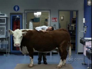 Better Off Ted Trailer Saison 1