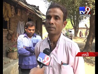 Stray dog menace haunts residents, Tapi - Tv9 Gujarati